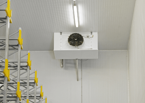 Energy-efficient commercial refrigeration upgrade Dubai